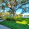 a path with grass and trees on either side of it