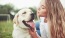 a person kissing a dog